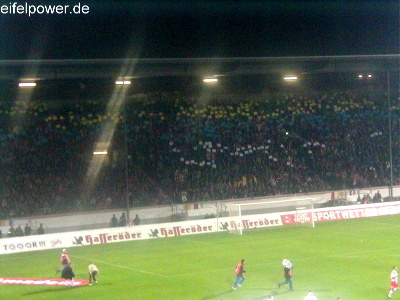 Choreo auf der Tribuene- Karnevalsfarben