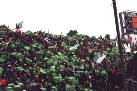 Borussia v. Mainz 05 Nordkurve Foto 3