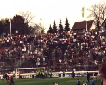 Borussia v. TeBe  Sdkurve : Wo sind die 17 Gstefans ???  :-)